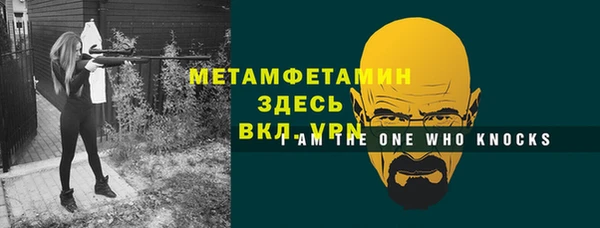 ПСИЛОЦИБИНОВЫЕ ГРИБЫ Вяземский
