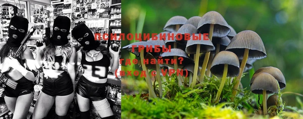 ПСИЛОЦИБИНОВЫЕ ГРИБЫ Вяземский
