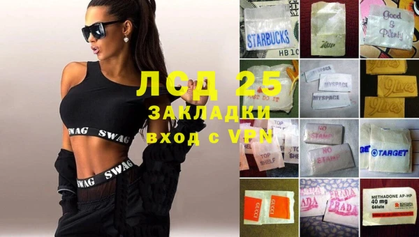 ПСИЛОЦИБИНОВЫЕ ГРИБЫ Вяземский