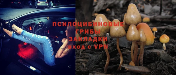 сатива Вязники